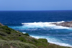 2011_sardegna16