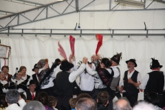 2010_festecanova11