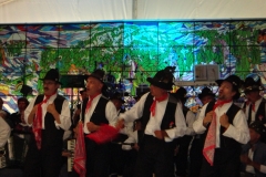2011_pederobba05
