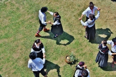2012_balli20