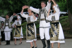 2005_rumeni09