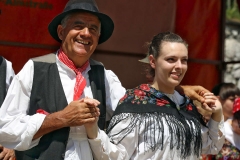 2016_Austria13